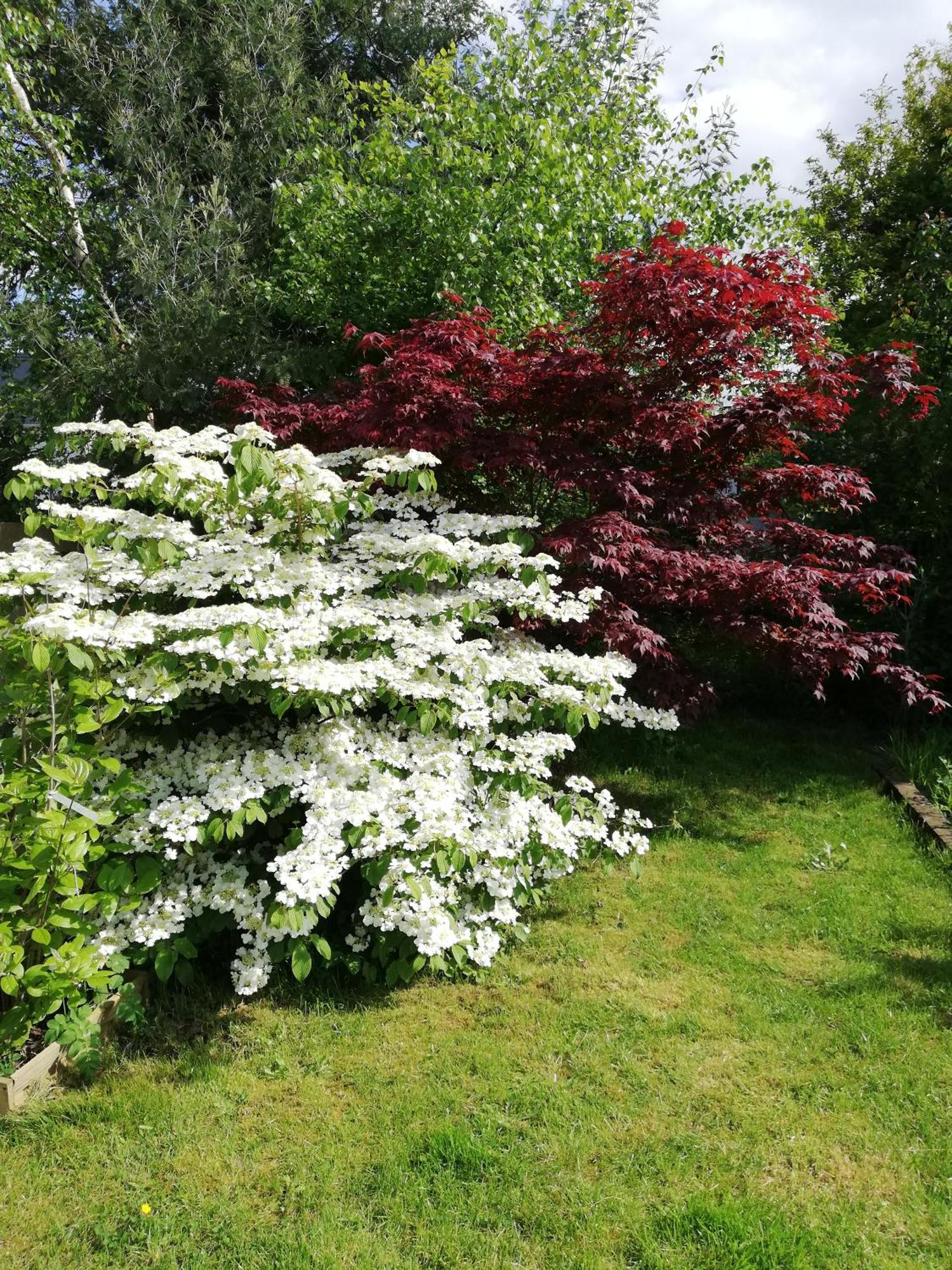 Au Coeur Du Jardin Villa La Boussac Exteriör bild